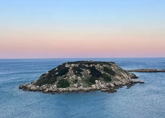 Ninemia Sea Living *